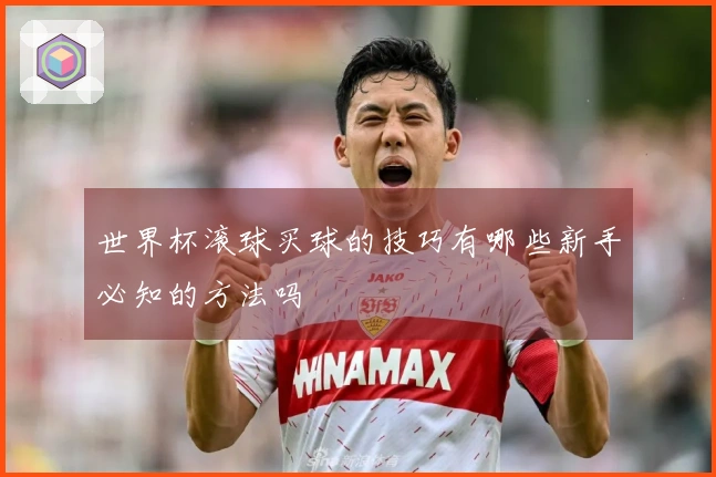 世界杯滚球买球的技巧有哪些新手必知的方法吗