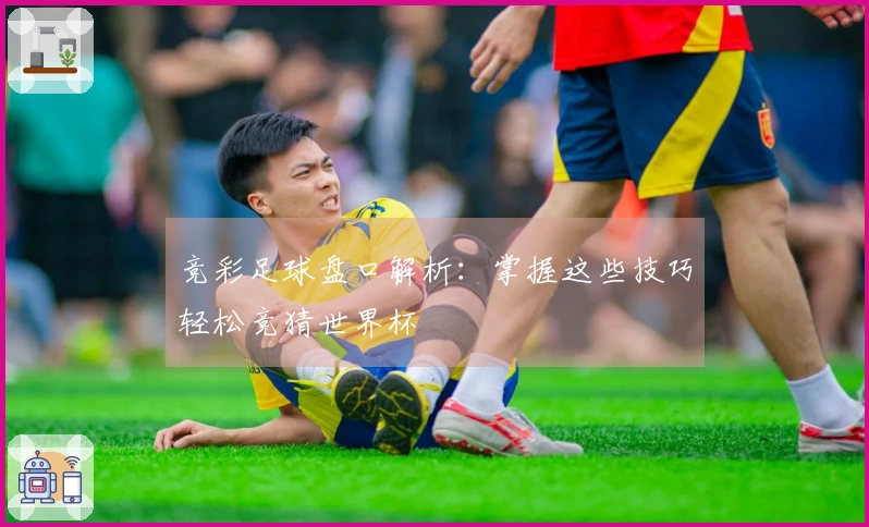 竞彩足球盘口解析：掌握这些技巧轻松竞猜世界杯