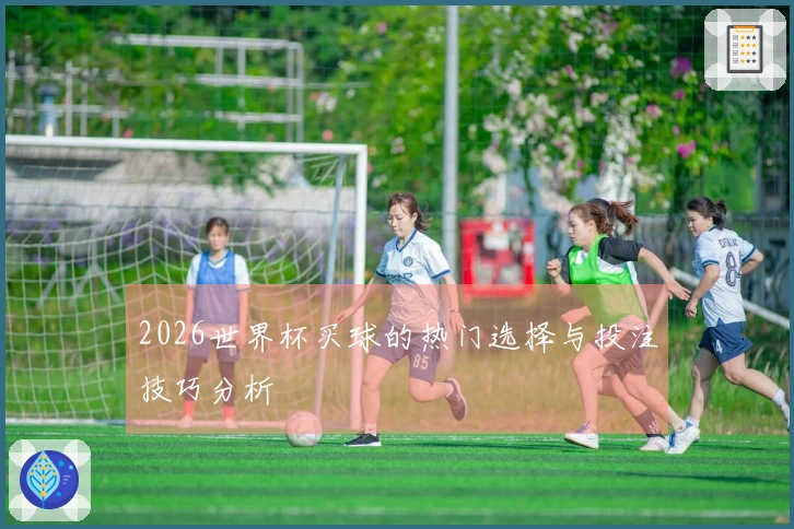 2026世界杯买球的热门选择与投注技巧分析