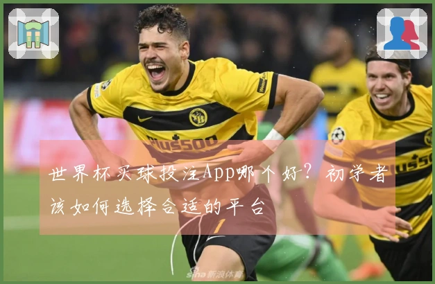 世界杯买球投注App哪个好？初学者该如何选择合适的平台