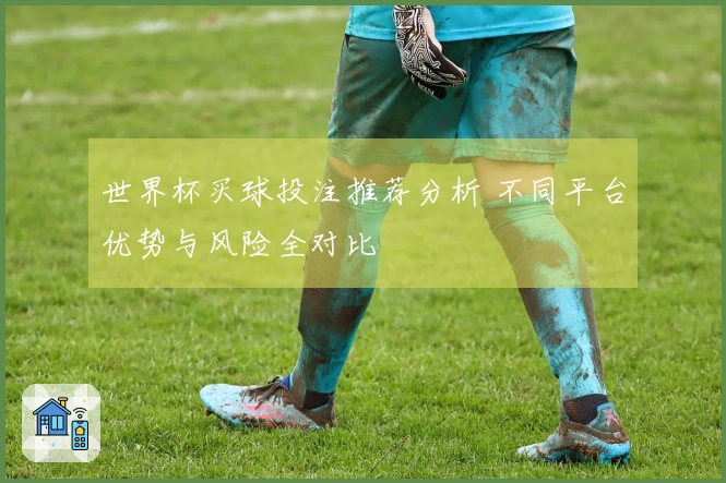 世界杯买球投注推荐分析 不同平台优势与风险全对比