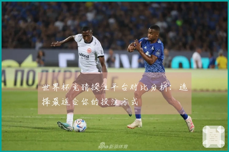 世界杯竞猜投注平台对比分析：选择最适合你的投注方式