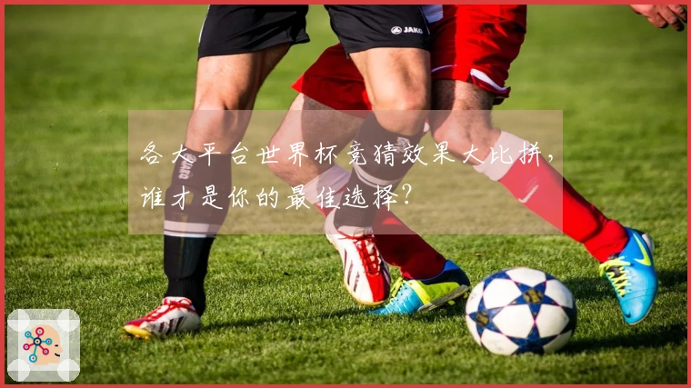 各大平台世界杯竞猜效果大比拼，谁才是你的最佳选择？