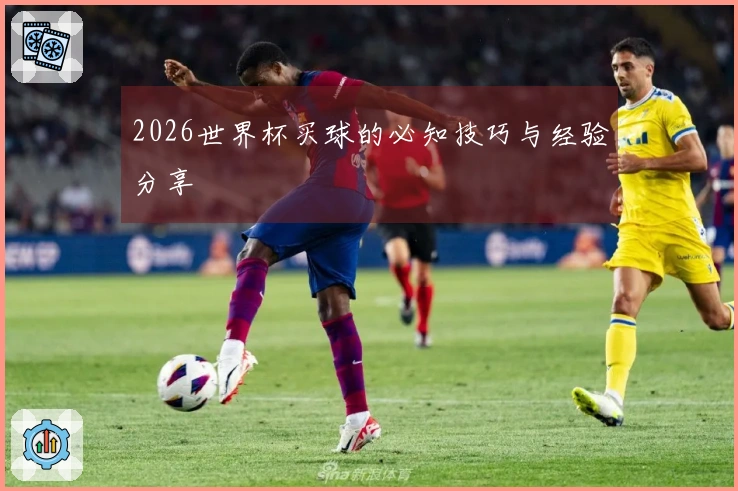 2026世界杯买球的必知技巧与经验分享