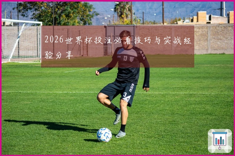 2026世界杯投注必看技巧与实战经验分享