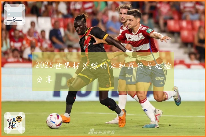 2026世界杯买球的必知技巧与经验分享